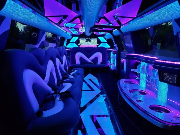 limousine rental interior