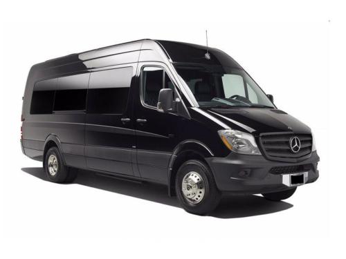 Mercedes Executive Van for 14
